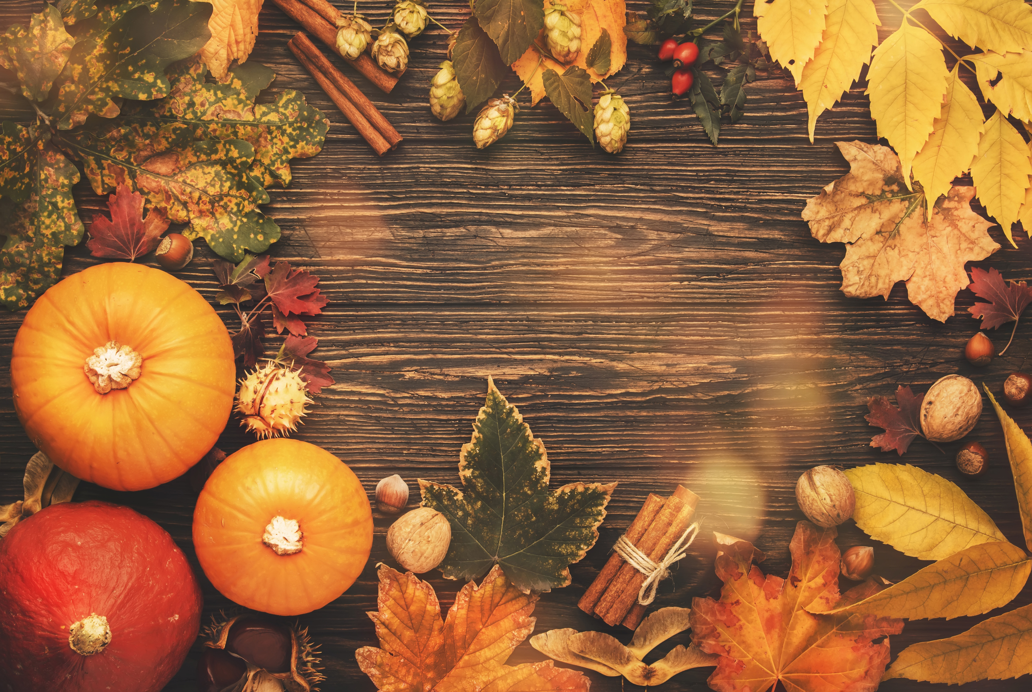 Fall Leaves