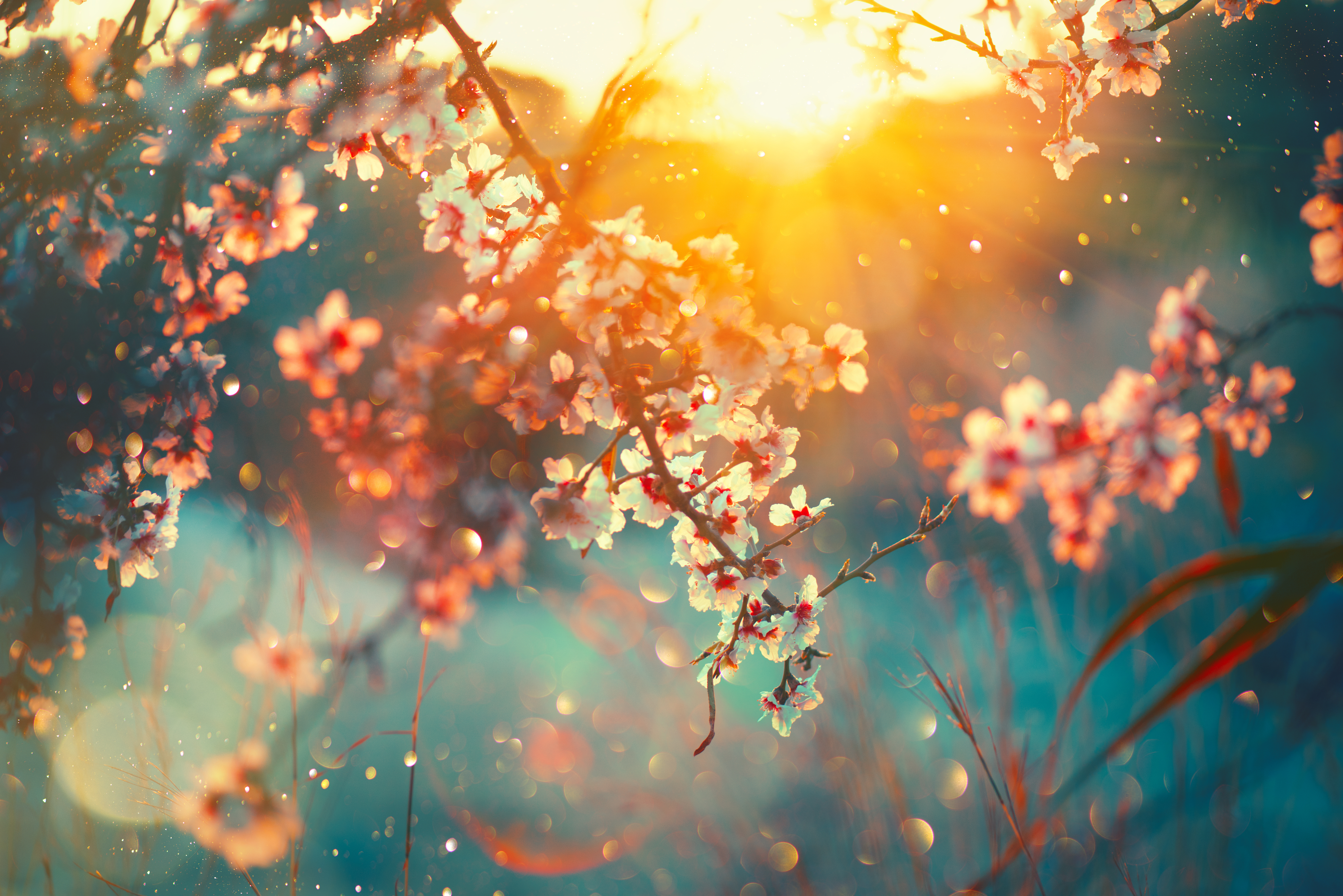 soring flowers 2027.jpeg