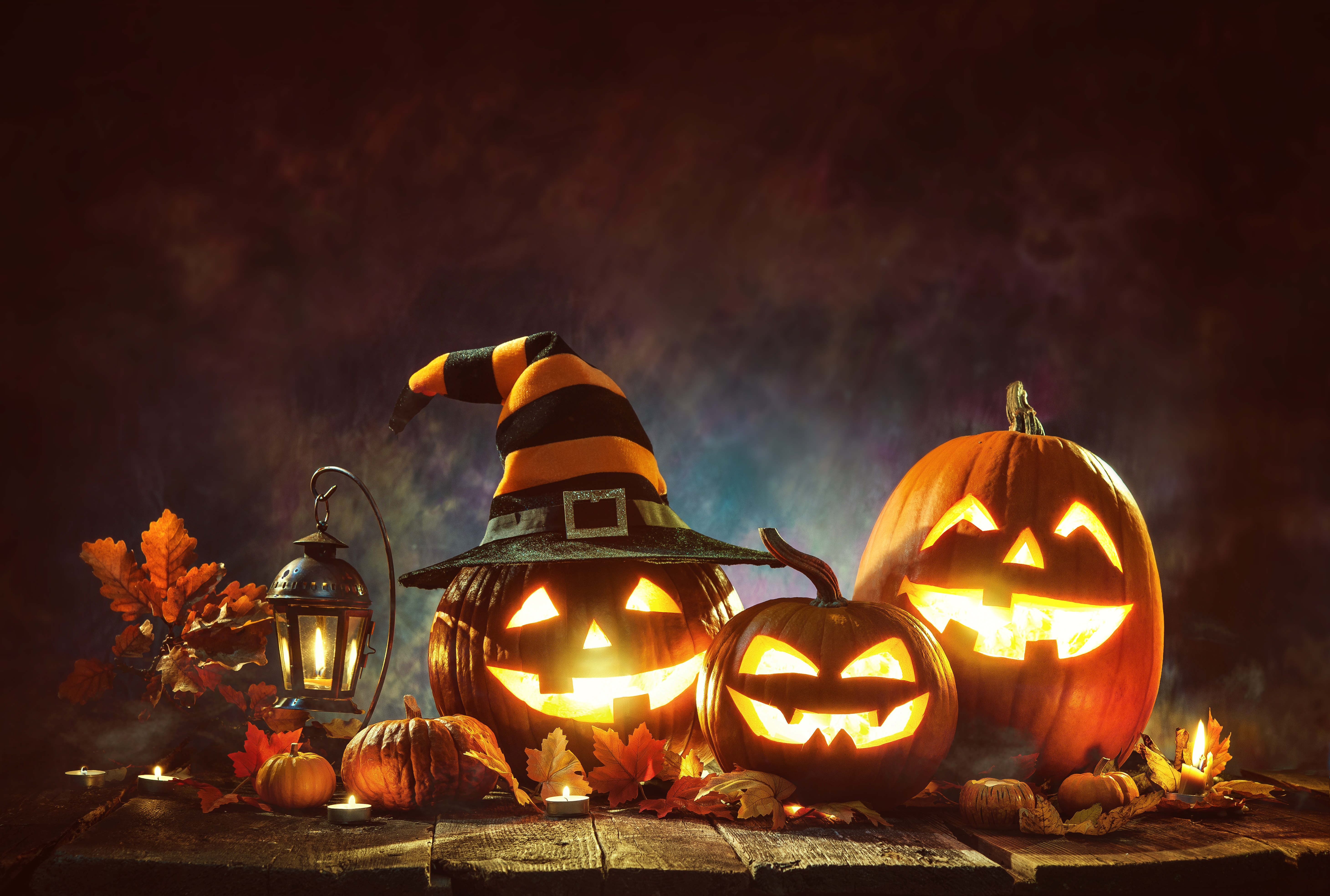 AdobeStock_174949274.jpeg