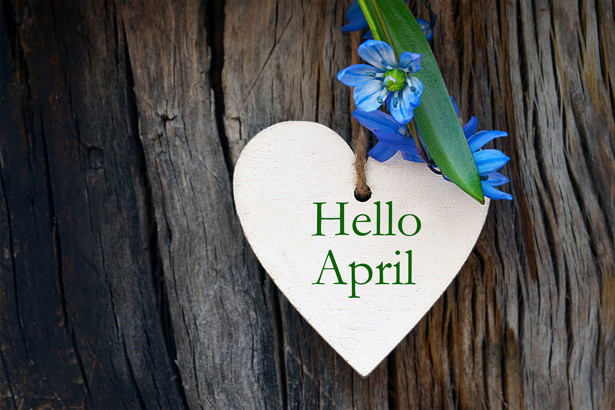 April.png