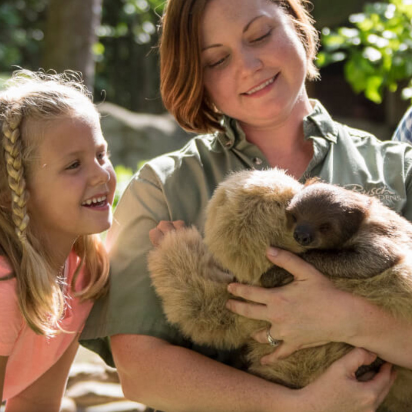 ©Busch Gardens Tampa Bay