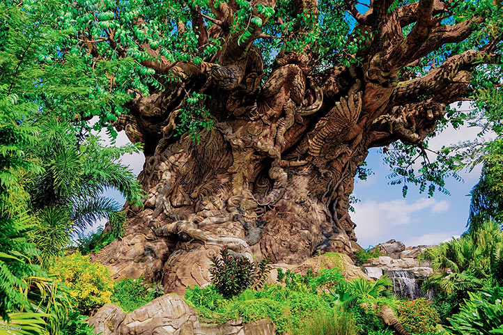 Disney's Animal Kingdom