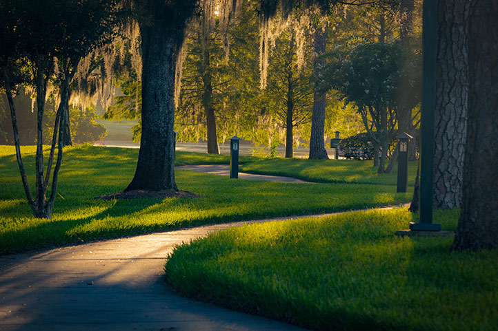 Walking Paths