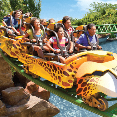 ©Busch Gardens Tampa Bay ©Busch Gardens Tampa Bay
